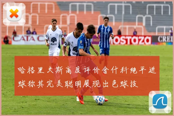 哈格里夫斯高度评价舍什科绝平进球称其完美聪明展现出色球技
