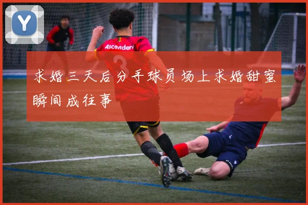 求婚三天后分手球员场上求婚甜蜜瞬间成往事