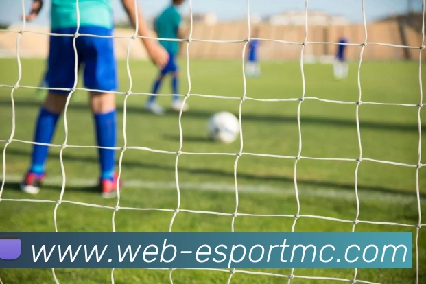 易倍体育APP 高清赛事图